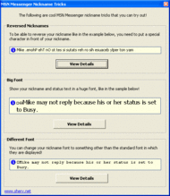 MSN Name Tricks screenshot